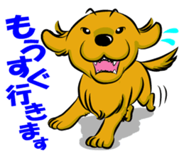 Golden Retriever named sakura sticker #12385179
