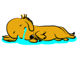 Golden Retriever named sakura sticker #12385185