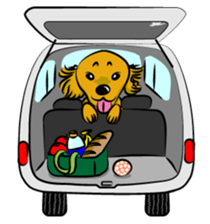 Golden Retriever named sakura sticker #12385188