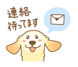 Golden Retriever of kazuchan sticker #12387807