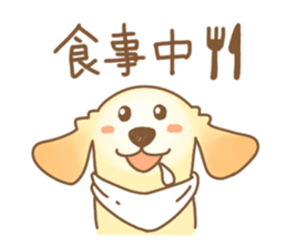 Golden Retriever of kazuchan sticker #12387808