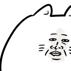 serious expression cat