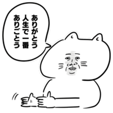 serious expression cat sticker #12389109