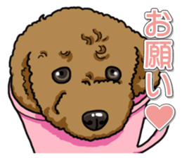 Daily poodle sticker #12389158