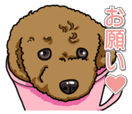 Daily poodle sticker #12389158