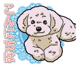 Daily poodle sticker #12389159