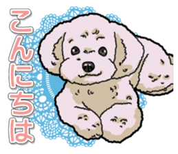 Daily poodle sticker #12389159
