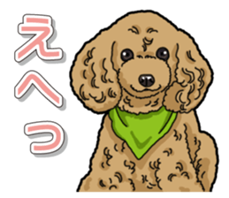 Daily poodle sticker #12389161