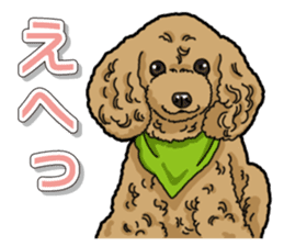 Daily poodle sticker #12389161