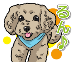 Daily poodle sticker #12389162
