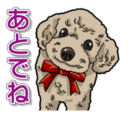Daily poodle sticker #12389165