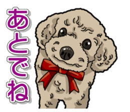 Daily poodle sticker #12389165