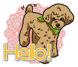 Daily poodle sticker #12389166
