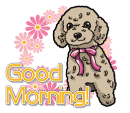 Daily poodle sticker #12389167