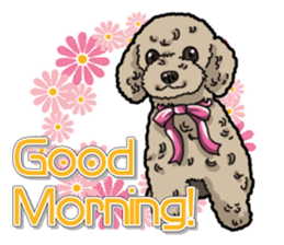 Daily poodle sticker #12389167