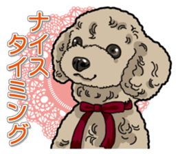 Daily poodle sticker #12389168