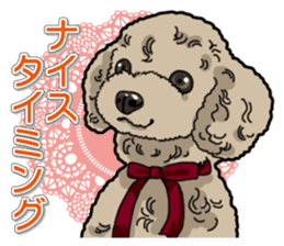 Daily poodle sticker #12389168
