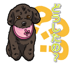 Daily poodle sticker #12389170