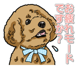 Daily poodle sticker #12389171