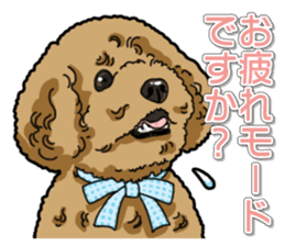 Daily poodle sticker #12389171