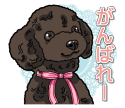 Daily poodle sticker #12389172
