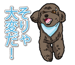 Daily poodle sticker #12389174