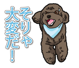 Daily poodle sticker #12389174