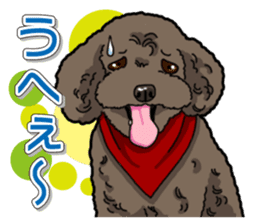Daily poodle sticker #12389175