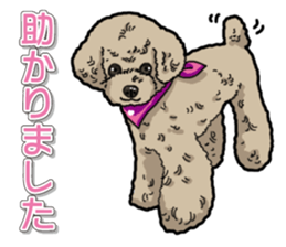 Daily poodle sticker #12389178