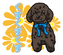 Daily poodle sticker #12389179