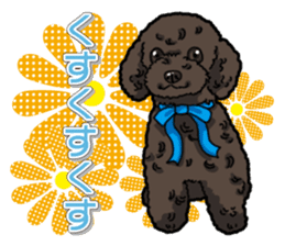 Daily poodle sticker #12389179