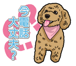 Daily poodle sticker #12389180