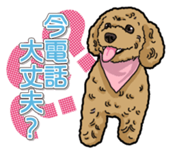 Daily poodle sticker #12389180