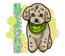 Daily poodle sticker #12389181