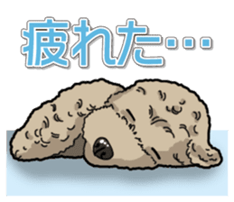 Daily poodle sticker #12389183