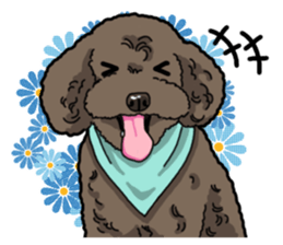 Daily poodle sticker #12389186