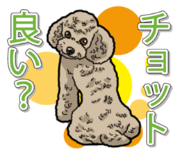 Daily poodle sticker #12389187