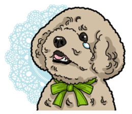 Daily poodle sticker #12389188