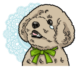 Daily poodle sticker #12389188