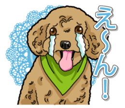 Daily poodle sticker #12389189