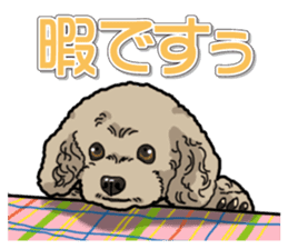 Daily poodle sticker #12389191
