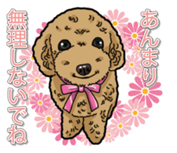 Daily poodle sticker #12389192