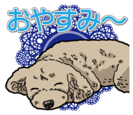 Daily poodle sticker #12389196