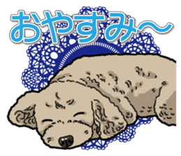 Daily poodle sticker #12389196