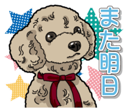Daily poodle sticker #12389197