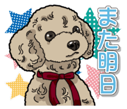 Daily poodle sticker #12389197