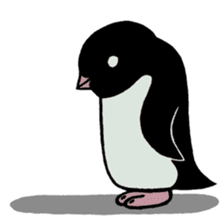 Hello Penguins! 2 sticker #12389343