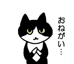 Creeping cat sticker #12389411