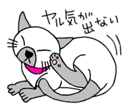daily life Siamese cat sticker #12390055