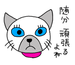 daily life Siamese cat sticker #12390056